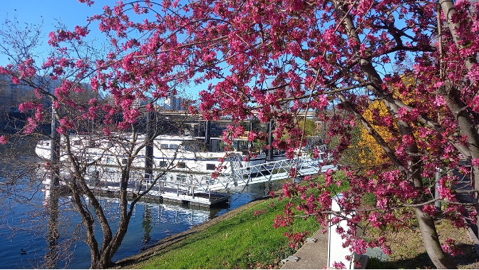 Marinov - Le printemps au port Van Gogh